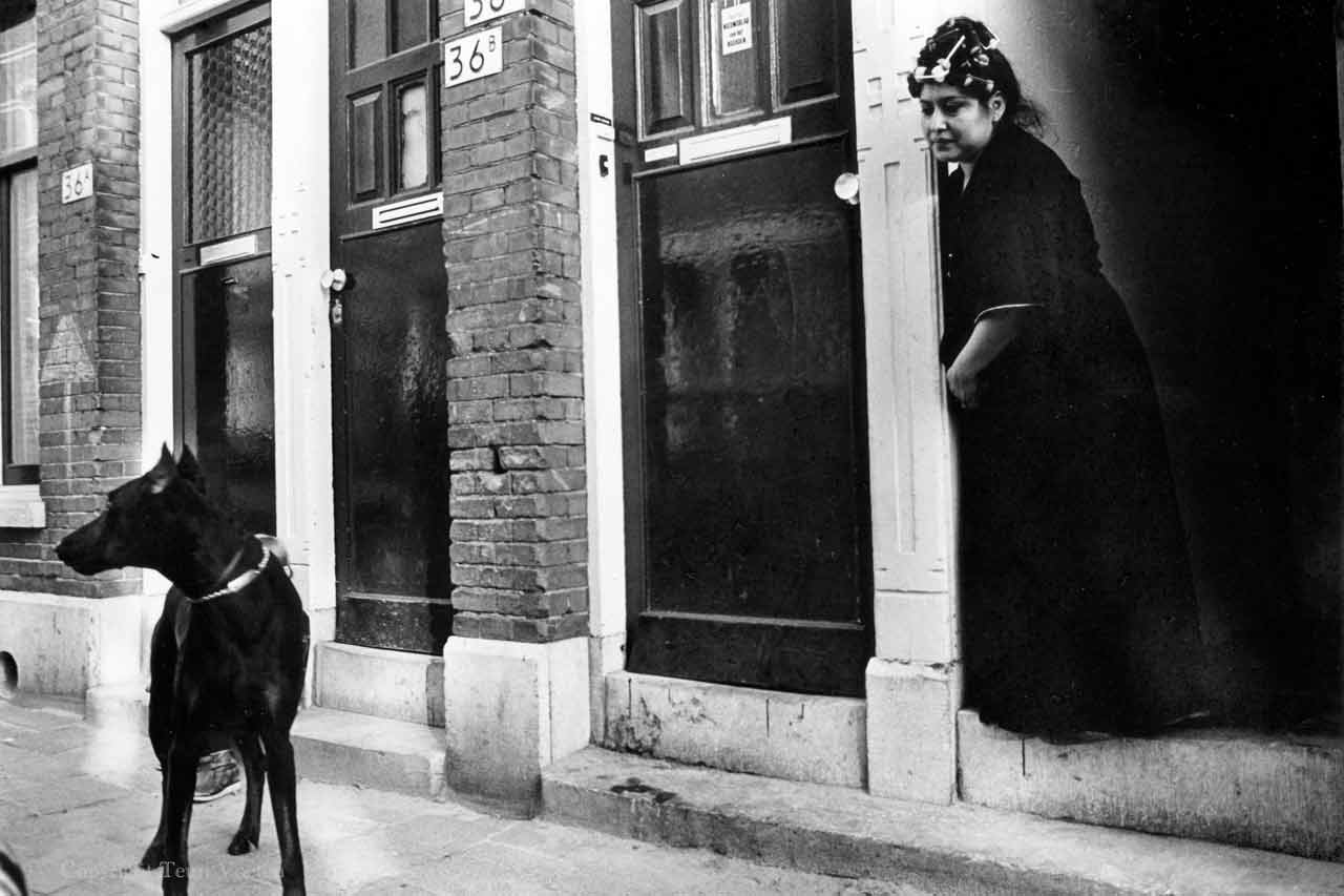 rotterdam early work
